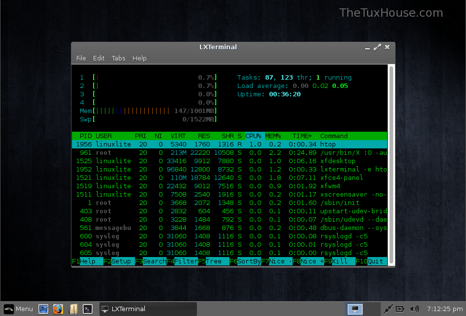 Using linux. Первый линукс. Linux 1.0 Скриншоты. Linux Lite Интерфейс. Linux screenshot.