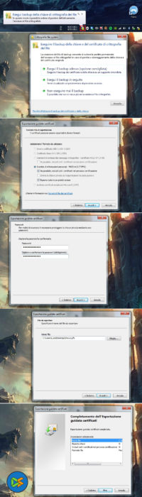 Win_EFS_Export